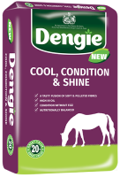 DENGIE Cool Condition & Shine 20kg