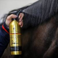 C&D&M Odżywka Golden Limited Edition 500 ml