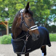 HE HORSENJOY Derka polarowa Show - 4