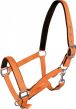 YORK Kantar Fluo - 7