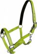 YORK Kantar Fluo - 6