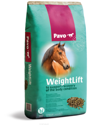 PAVO WeightLift 20 kg