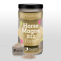 PRO-LINEN Horse Magne B12 Forte 2 kg