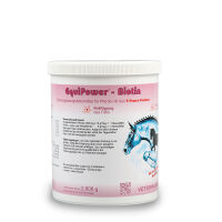EQUIPOWER Biotin 750 g