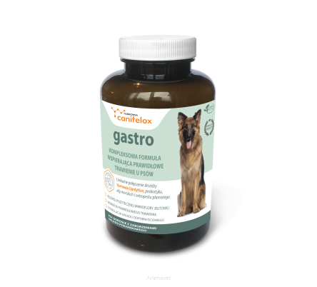 YARROWIA Canifelox Gastro Dog 240 g