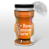 PRO-LINEN Witamina C + Rosa Canina Forte™  500 g