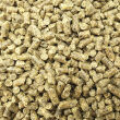 HAVENS Senior Crumbs 17,5 kg - 2