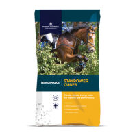 DODSON & HORRELL Staypower Cubes 20 kg