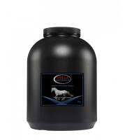 OMEGA EQUINE Electrolytes - Elektrolity dla koni 5 kg