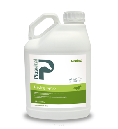 PLUSVITAL Racing Syrup 5 l