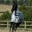 BUCAS Derka siatkowa Freedom Fly Sheet - 2