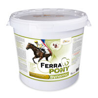 ORLING Ferrapony Dynamic 10 kg