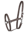 WALDHAUSEN Kantar Perlon - 3