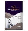 EQUILANNOO Condition Cube (Equifirst Condition Cube) 20 kg - 2