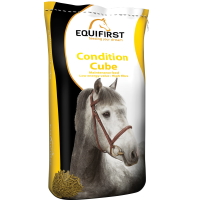 EQUIFIRST Condition Cube 20 kg