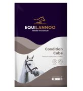 EQUILANNOO Condition Cube 20 kg