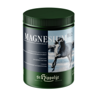 ST. HIPPOLYT Magnez + B12 1 kg