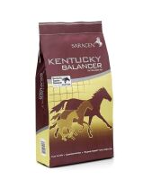 SARACEN Kentucky Balancer 20 kg