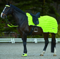WALDHAUSEN Derka do jazdy siatkowa Reflex