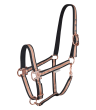 WALDHAUSEN Kantar Rose Shine - 2