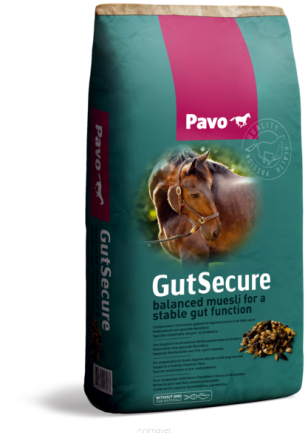 PAVO GutSecure 15 kg