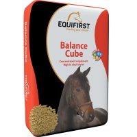 EQUIFIRST Balance Cube 20 kg