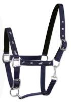 API Kantar Active Horse