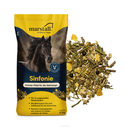 MARSTALL Sinfonie 15 kg