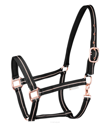 WALDHAUSEN Kantar Rose