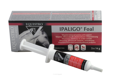 EQUISTRO Ipaligo Foal 3 x 14 g