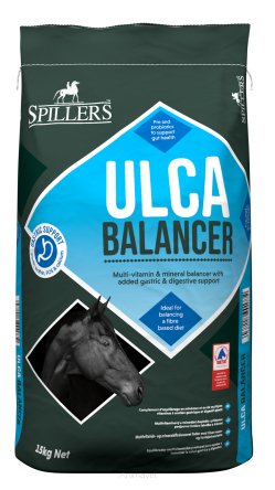 SPILLERS Ulca Balancer 15 kg