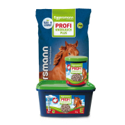 EGGERSMANN Profi Knoblauch Plus 4 kg