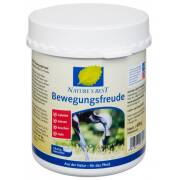 NATURE'S BEST Bewegungsfreude - MSM 600 g