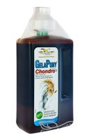ORLING Gelapony Chondro Hyal Biosol 3 l