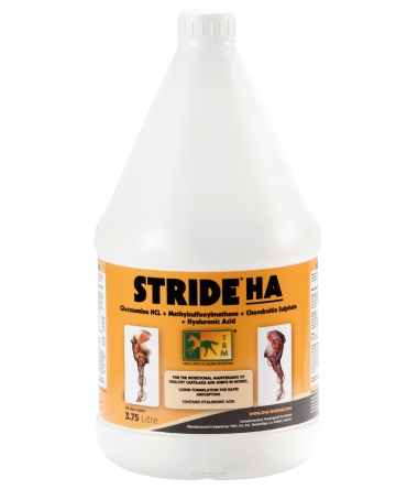 TRM Stride HA Solution 3,75 l