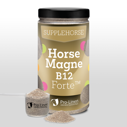 PRO-LINEN Horse Magne B12 Forte 500 g