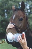 EQUINE HALER Inhalator dla koni