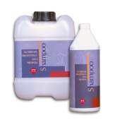 FM ITALIA Szampon ochronny z propolisem 1000 ml