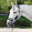 HE HORSENJOY Kantar Rainbow Fur Grey Mist - 2