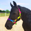 HE HORSENJOY Kantar Rainbow Tropical Heat - 2
