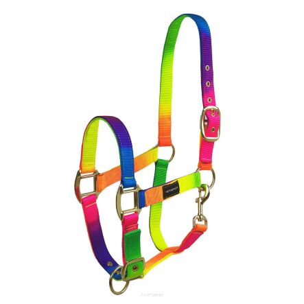 HE HORSENJOY Kantar Rainbow Tropical Heat